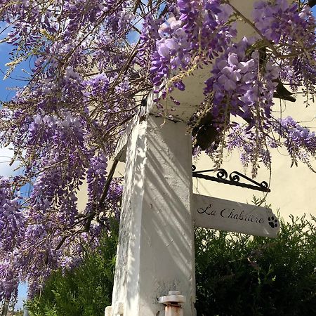 La Chabriere, Briarde De Charme Au Calme Proche Disneyland Lumigny Exterior foto